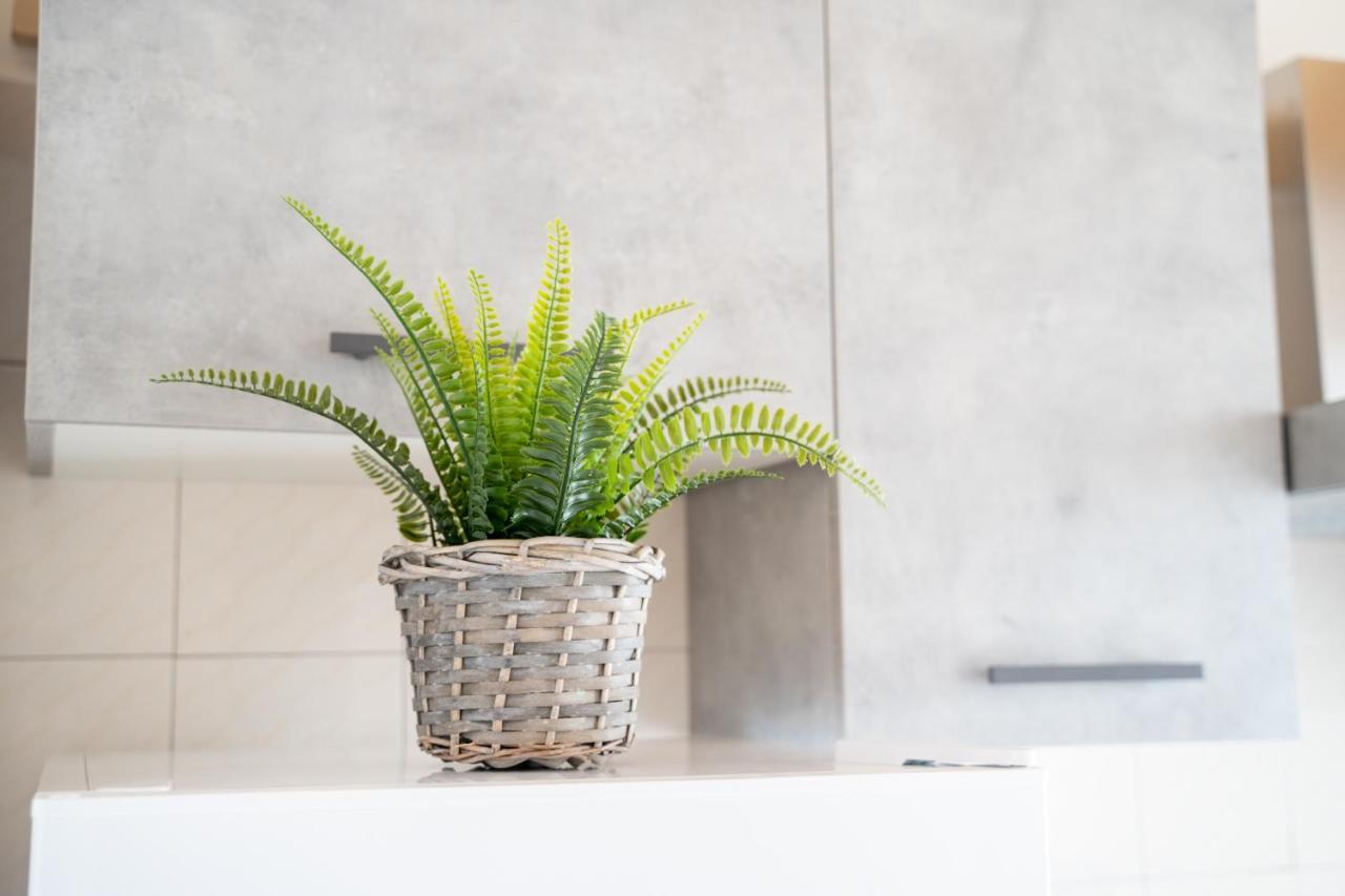 Historic Center Apartment - Catania Stays Εξωτερικό φωτογραφία